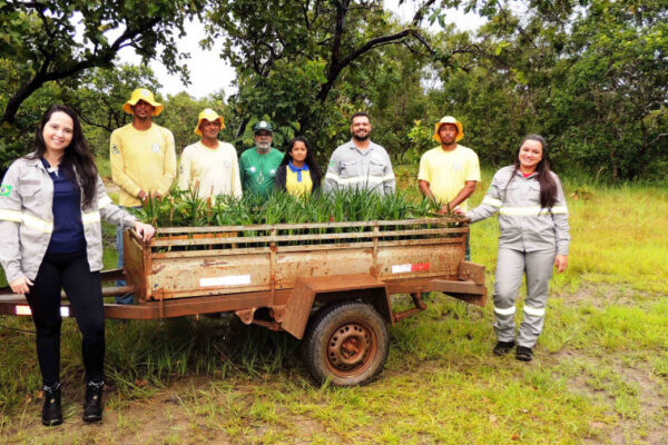 Em A O Alusiva Ao Dia Mundial Da Gua Naturatins Realiza Plantio De