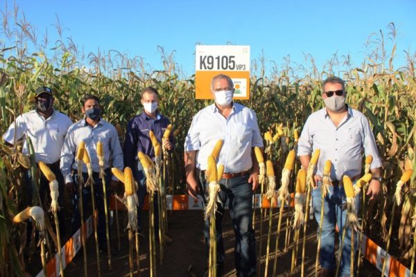 Produtores rurais da região de Pedro Afonso conhecem potencial de híbridos do milho