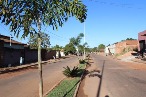 Jardins das avenidas de Aparecida recebem plantio de palmeiras