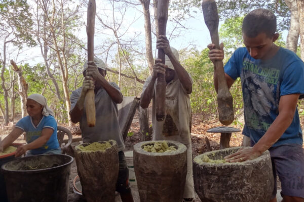 Área de Proteção Ambiental do Jalapão completou 20 anos