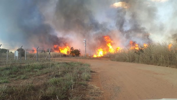 Governador do Tocantins pede que Bolsonaro envie Forças Armadas para combater queimadas no estado