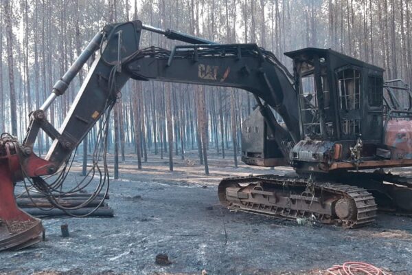 Incêndio de grandes proporções atinge plantação de eucalipto em propriedade rural de Novo Acordo