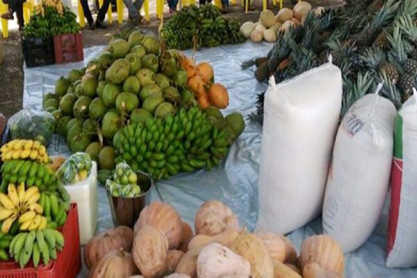 Governo do Tocantins inicia execução do programa Alimenta Brasil