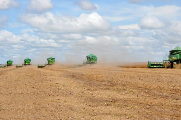 Tocantins registra R$ 18,8 bilhões do Valor da Produção Agropecuária de 2021 e se consolida como terceiro estado com maior índice da região Norte