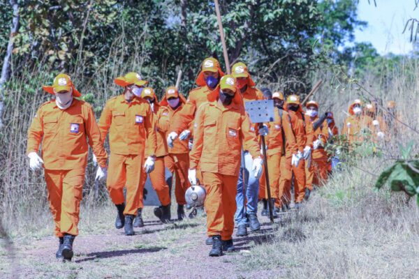 “Guardiões do Bioma” atuarão contra as queimadas e incêndios florestais no Tocantins