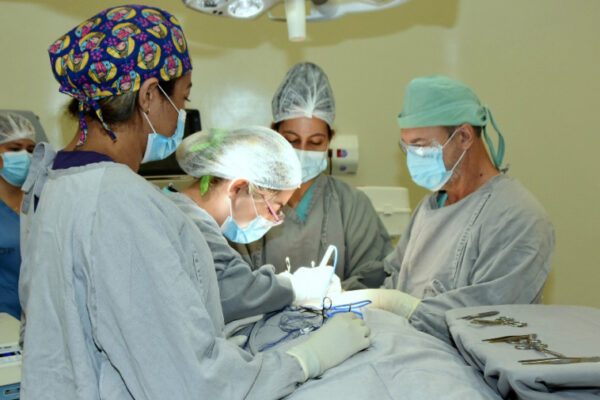 Governo do Tocantins divulga balanço de cirurgias eletivas