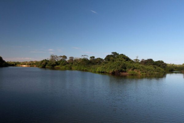 Governo do Tocantins avança com agenda ambiental e o Estado pode ser o primeiro a vender créditos de carbono florestal jurisdicional