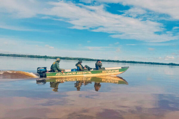 Fiscalização realizada pelo Naturatins apreende 70 kg de pescado na região norte do Tocantins