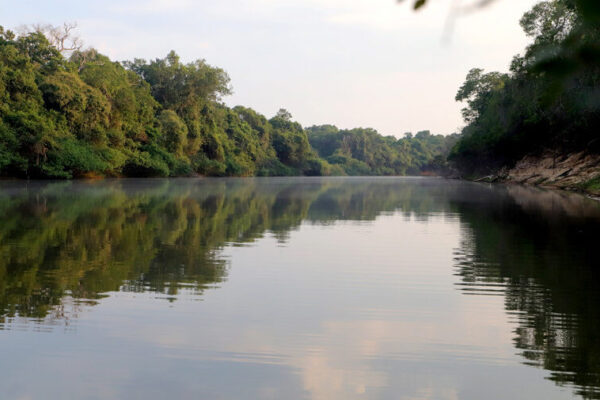 Governo do Tocantins celebra 26 anos do Parque Estadual do Cantão com programação neste domingo, 14