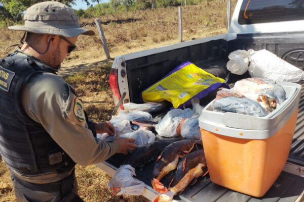 Naturatins apreende mais de 40 kg de pescado e aplica mais de R$ 2 mil em multas