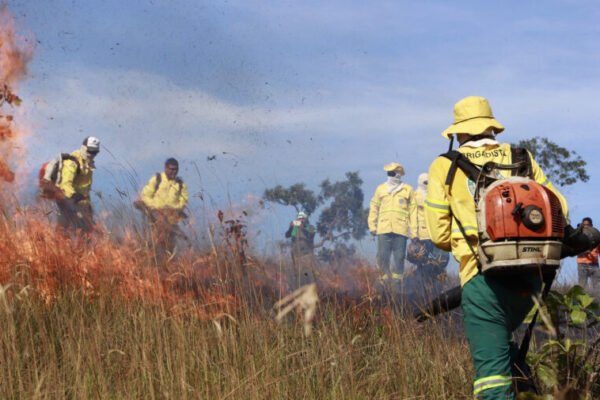 Brigada Gavião Fumaça do Naturatins garante proteção das Unidades de Conservação contra incêndios florestais