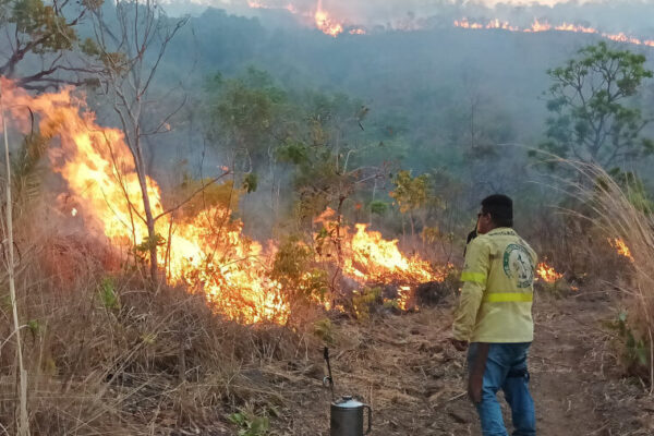 Brigadistas do Naturatins combatem incêndio florestal na APA Serra do Lajeado