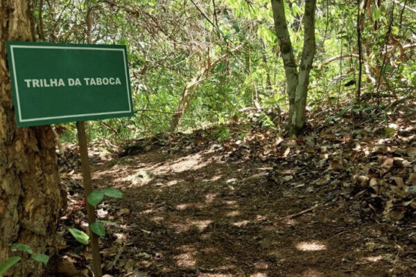 Equipe da APA do Jalapão realiza manutenção na Trilha da Taboca