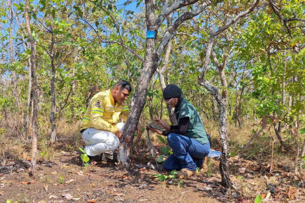 Naturatins conclui etapa de monitoramento de fauna no Parque Estadual do Lajeado