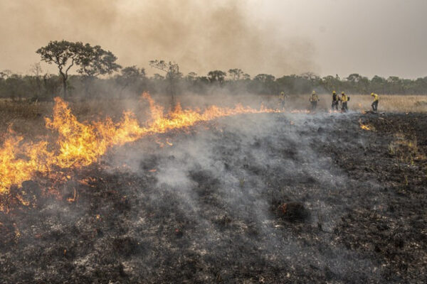 Brasil queima área equivalente a todo o estado do Tocantins em apenas 10 meses de 2024