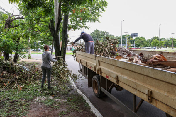 Pedido de Coleta de Galhadas deve ser feito no número do call center da Prefeitura de Palmas