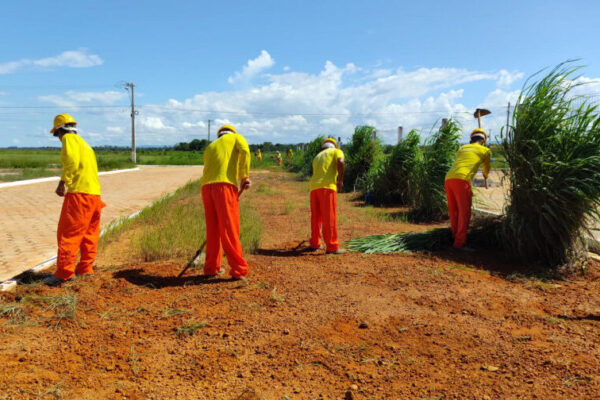 Seciju disponibiliza mão de obra carcerária na preparação da Agrotins 2025