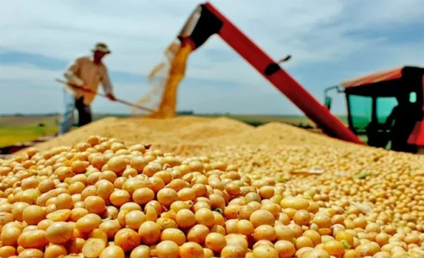 Com soja como protagonista, Porto Nacional exporta mais de US$ 100 milhões no 1º trimestre pelo terceiro ano seguido