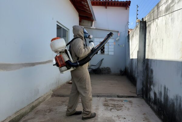 Capital intensifica ações contra arboviroses em áreas com maior incidência de casos suspeitos