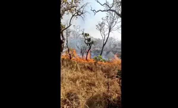 Bombeiros e moradores combatem fogo na serra de Taquaruçu há mais de 24 horas